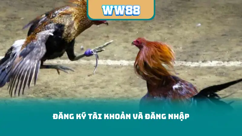 Đăng ký tài khoản và đăng nhập
