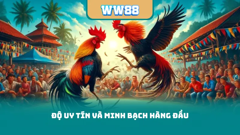 Độ uy tín và minh bạch hàng đầu