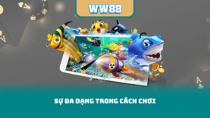 Sự đa dạng trong cách chơi