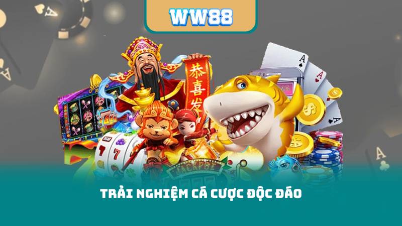 Trải nghiệm cá cược độc đáo